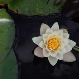 Açacaklı Promosyon Anahtarlık - Görsel 1