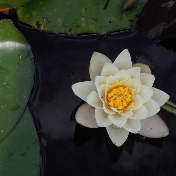 Açacaklı Promosyon Anahtarlık - Görsel 1