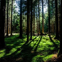 Akrilik Fotoğraf Anahtarlık - Görsel 1