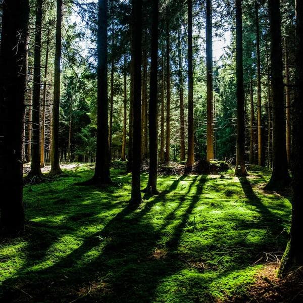 Akrilik Fotoğraf Anahtarlık