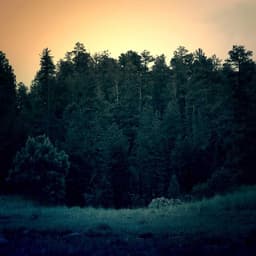 Silikon Anahtarlık - Renkli - Görsel 3